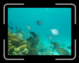 Tortola 256 * 2048 x 1536 * (1.27MB)